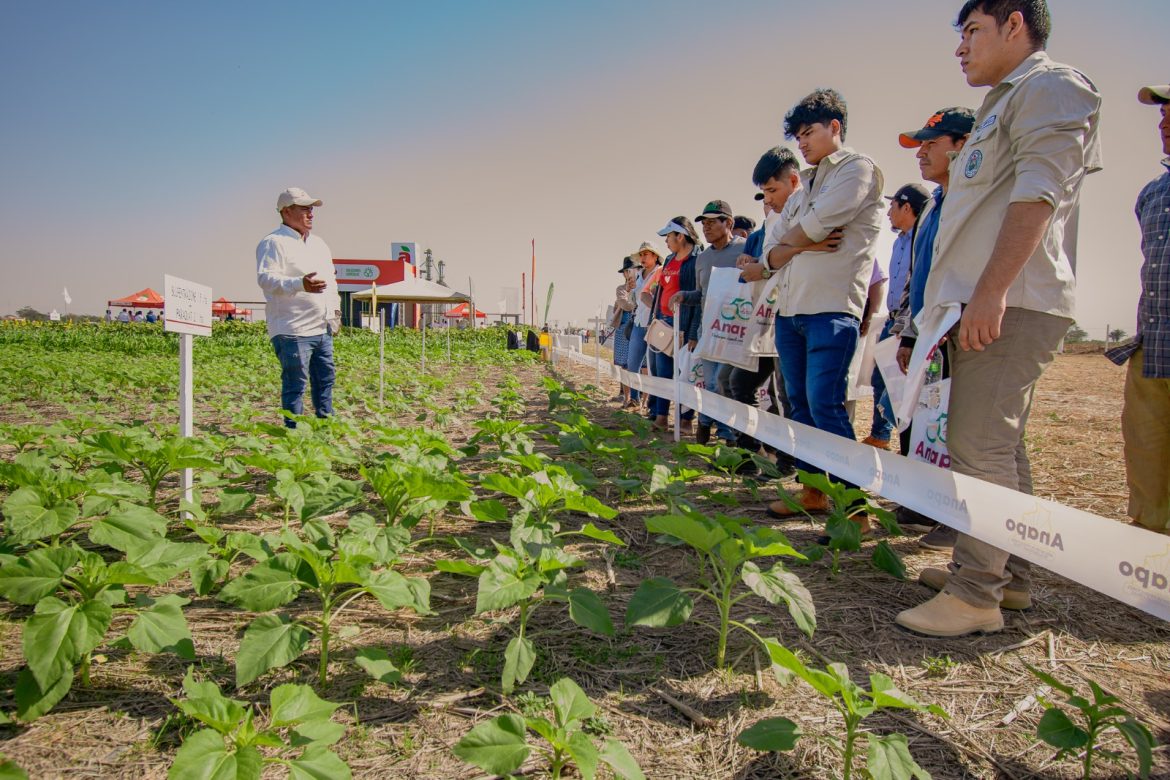 WhatsApp Image 2025-07-16 at 15.31.44